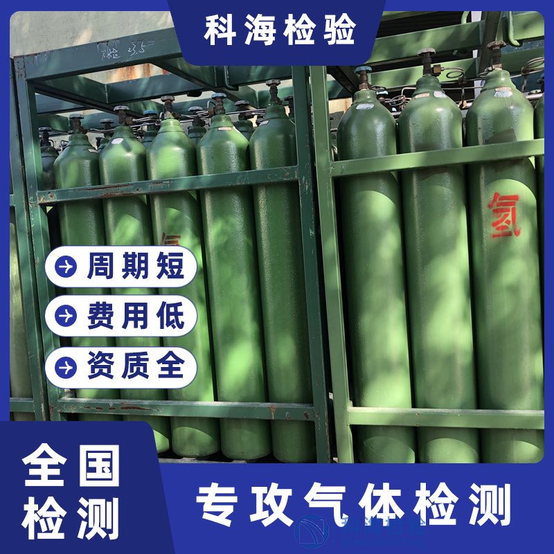 電子工業用氣體檢測